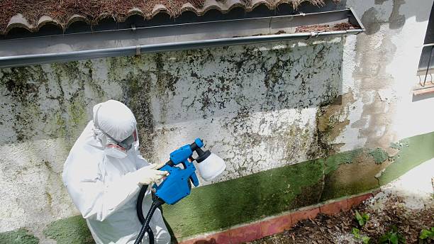 Top rated local Mold Inspection And Testing specialists in Georgetown, GA